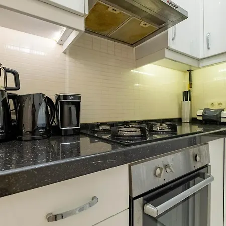 Stylish 3-br Apartment: High Ceilings, 2 Baths * Istanbulská provincie